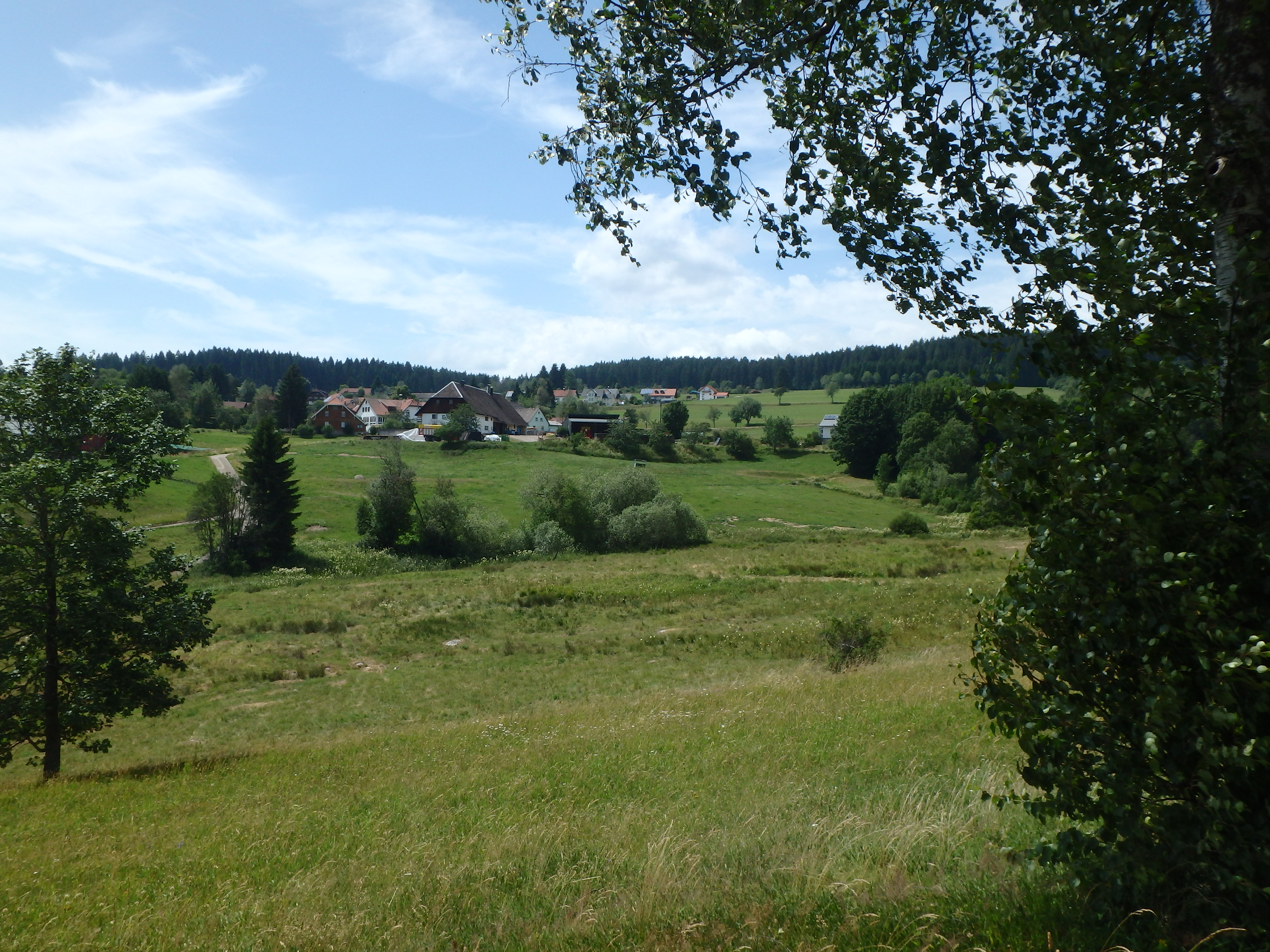 Schönenbach 